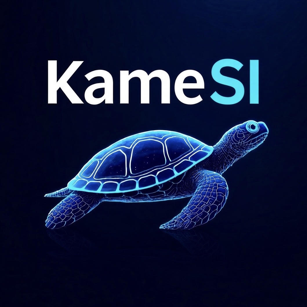 Consultoría KameSI
